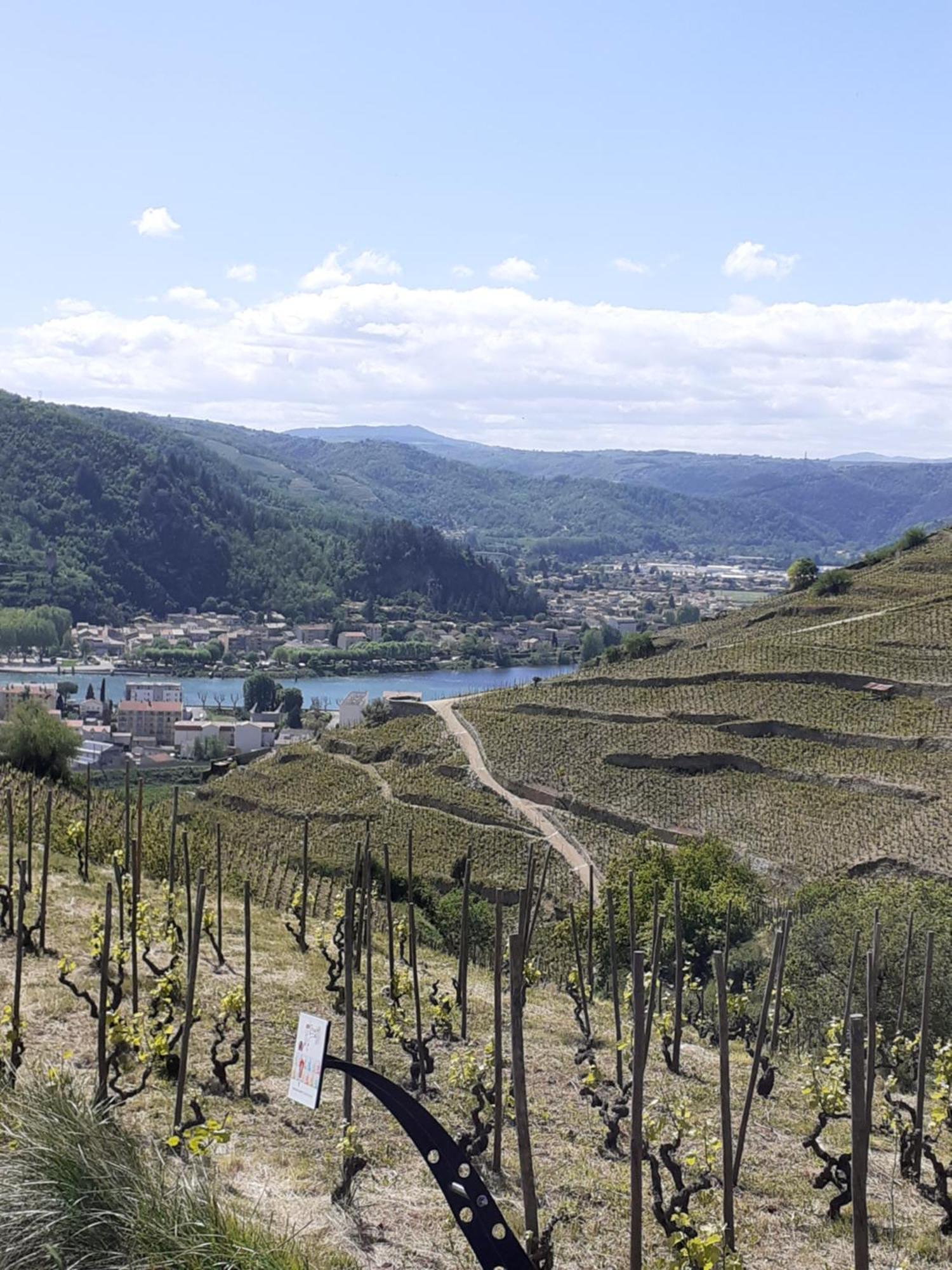Gite Du Vigneron A La Terrasse Piscine Local Velos Турнон-сюр-Рон Экстерьер фото